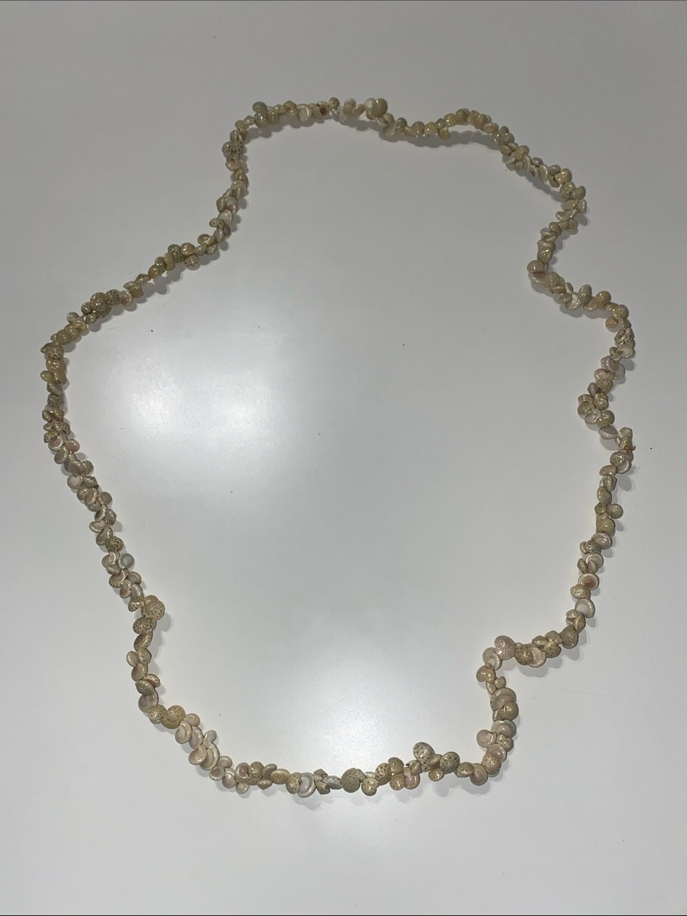 Beige Shell Long Necklace Bohemian